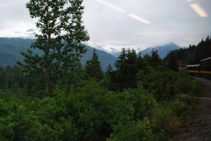 DSC_7075