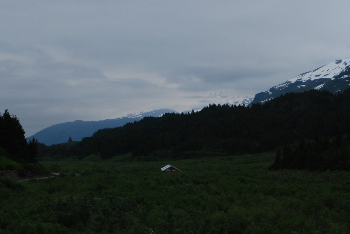 DSC_7118