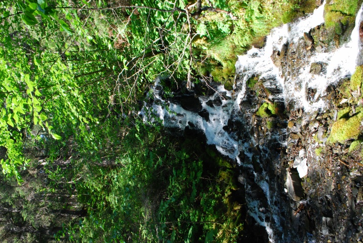 DSC_7146
