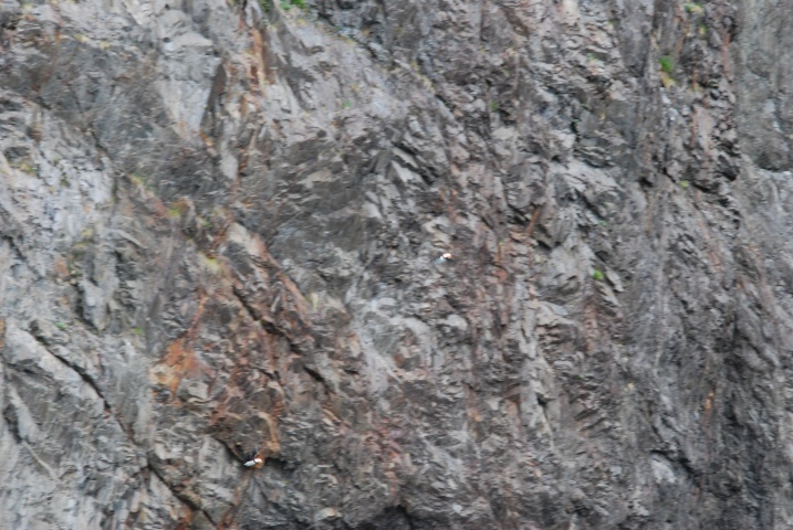 DSC_7204