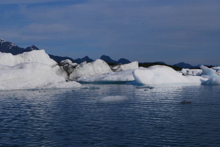 DSC_7379