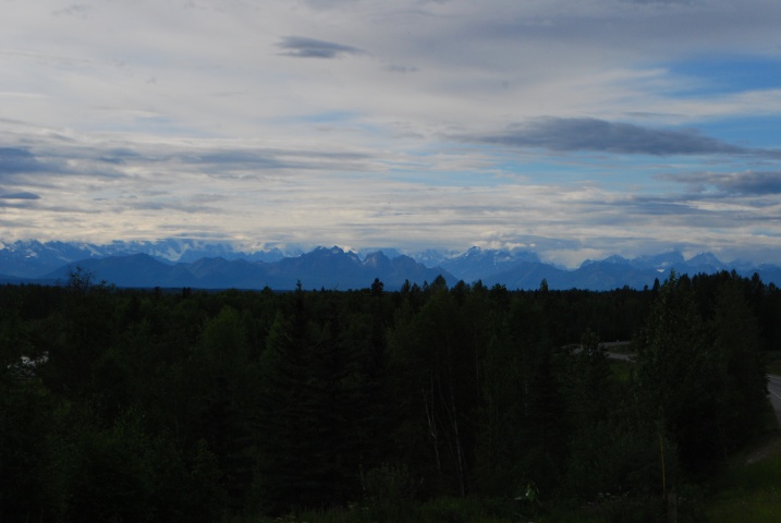 DSC_7485