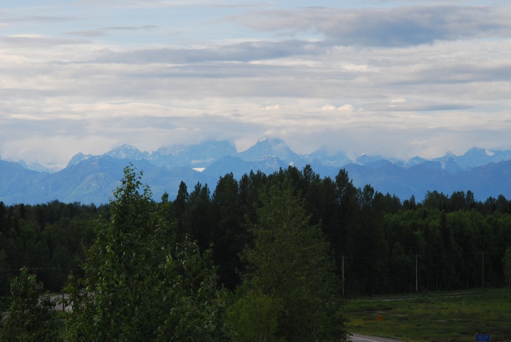 DSC_7495