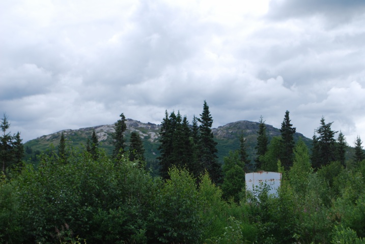 DSC_7554