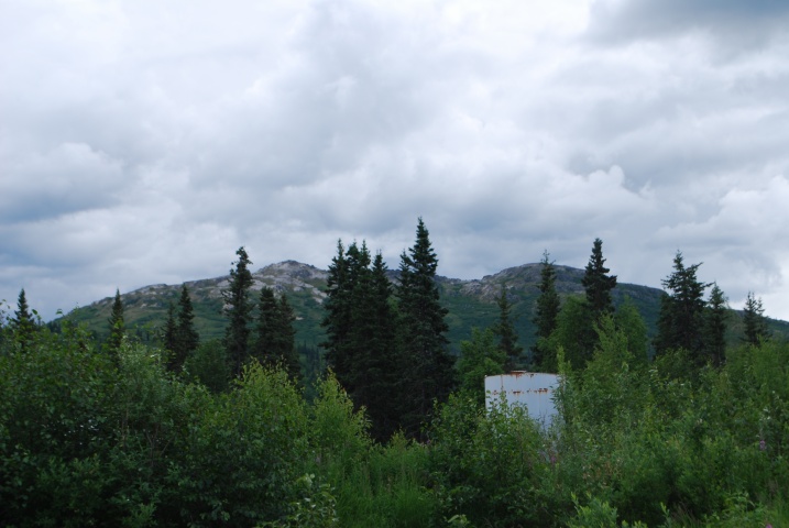 DSC_7555