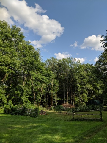 IMG_20190802_163850