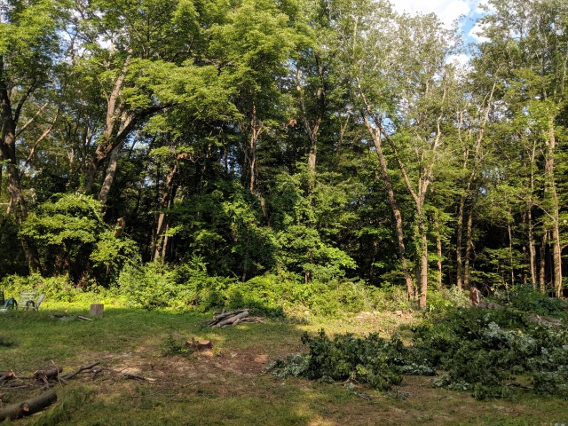 IMG_20190802_164251