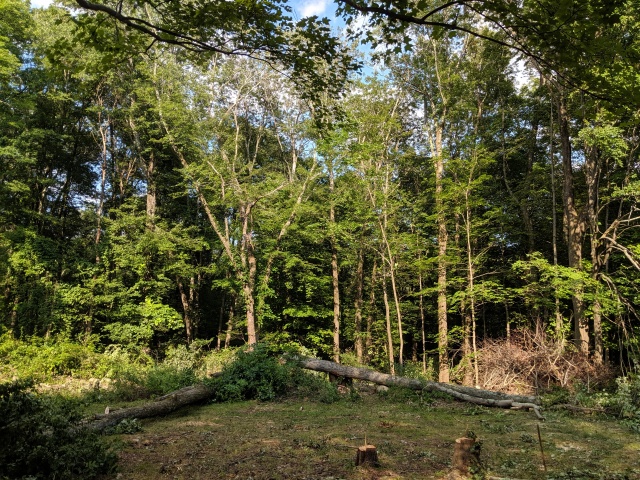 IMG_20190802_164331
