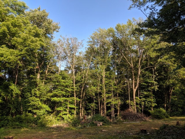 IMG_20190804_170811