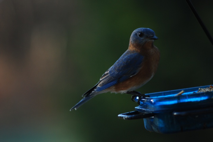 DSC_5477