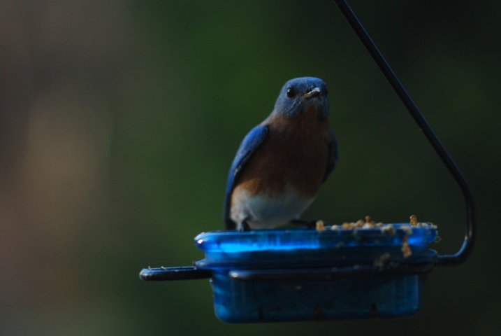DSC_5501