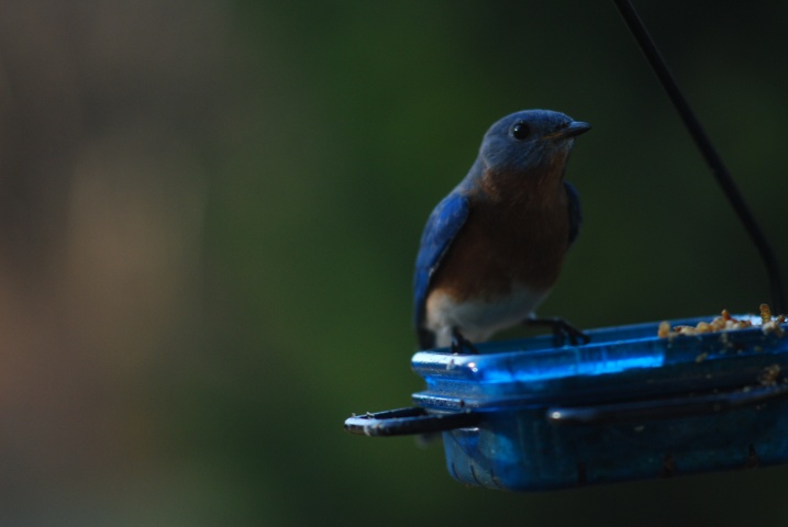 DSC_5506