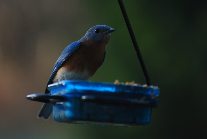 DSC_5507