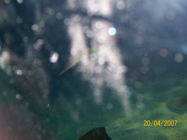 100_0151