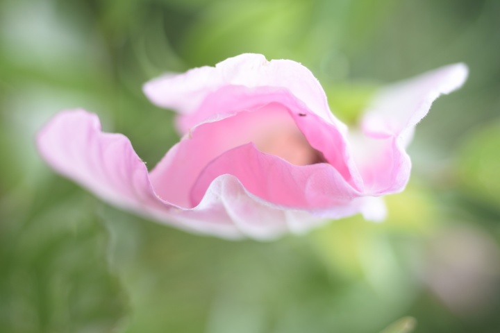 DSC_0052