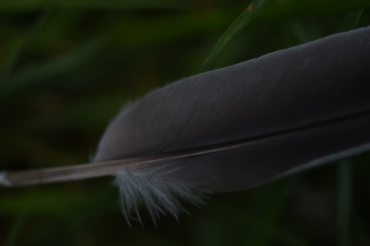 DSC_0072