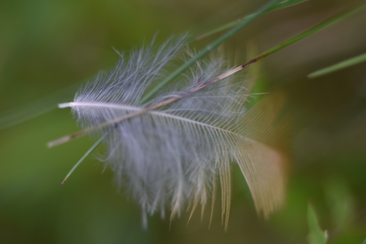 DSC_0126
