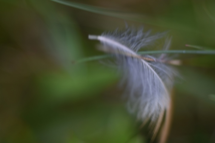 DSC_0127