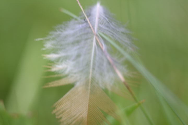 DSC_0128