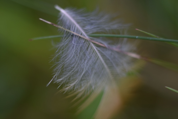 DSC_0133
