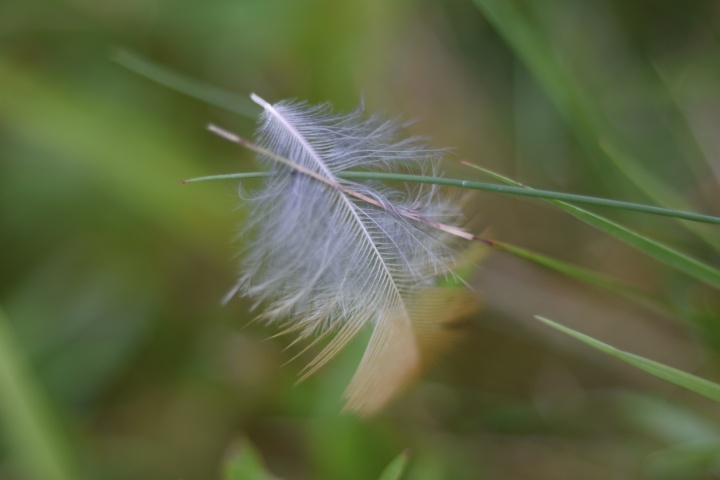 DSC_0134