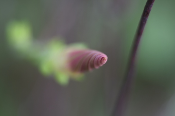 DSC_0159