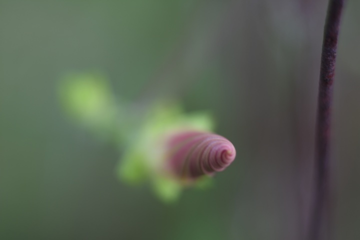 DSC_0160
