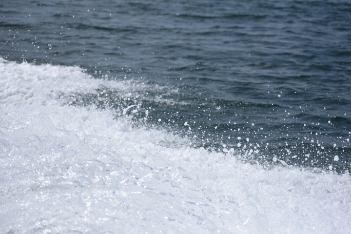 DSC_0255