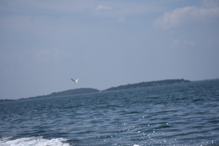 DSC_0258