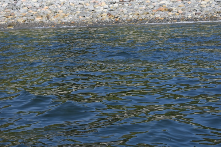 DSC_0270