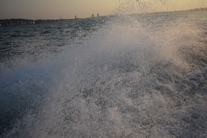 DSC_0290