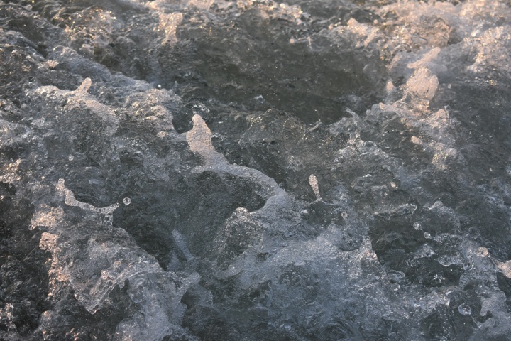 DSC_0301