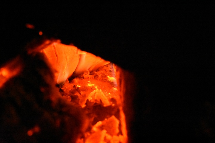 DSC_0329