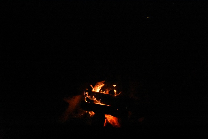 DSC_0362