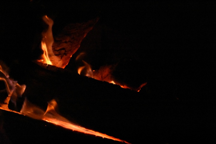 DSC_0364