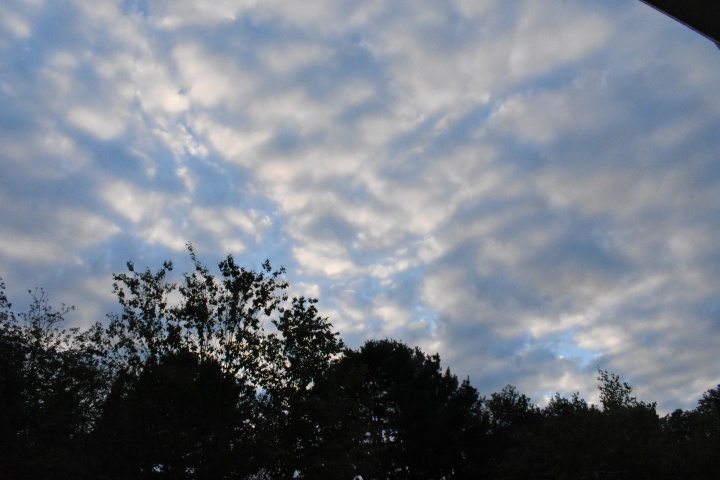 DSC_0386