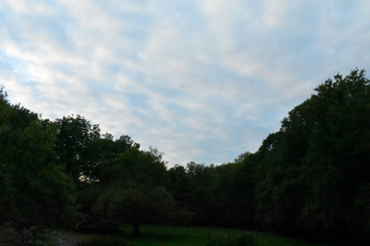 DSC_0388