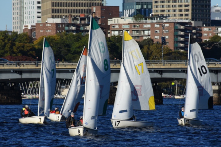 DSC_0517