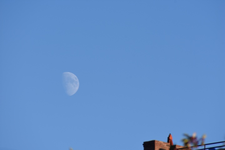 DSC_0525