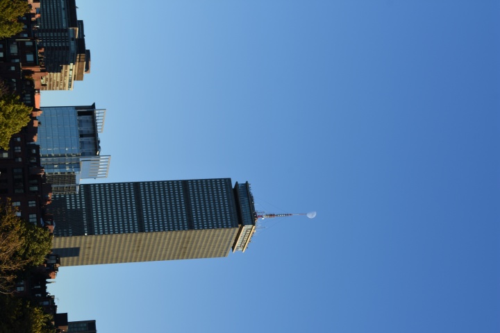 DSC_0533