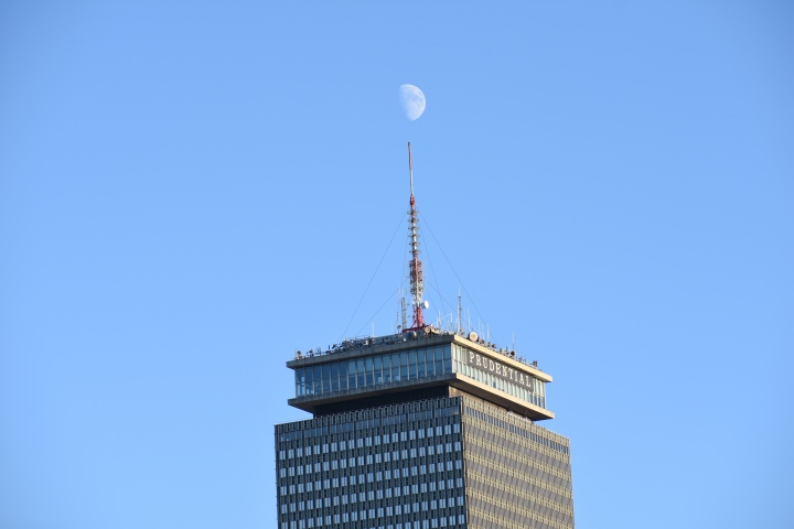 DSC_0536