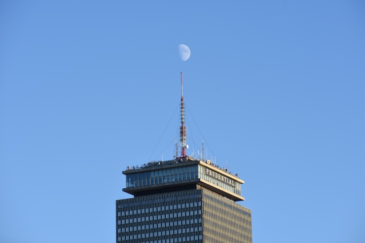 DSC_0537