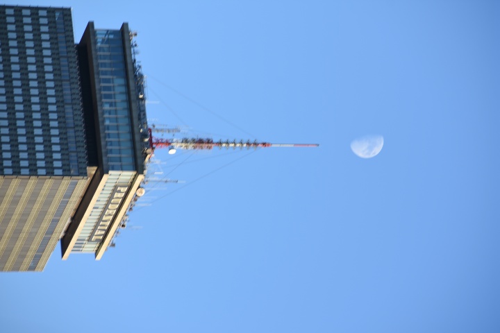 DSC_0542
