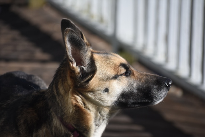 DSC_0725