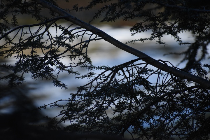 DSC_0750