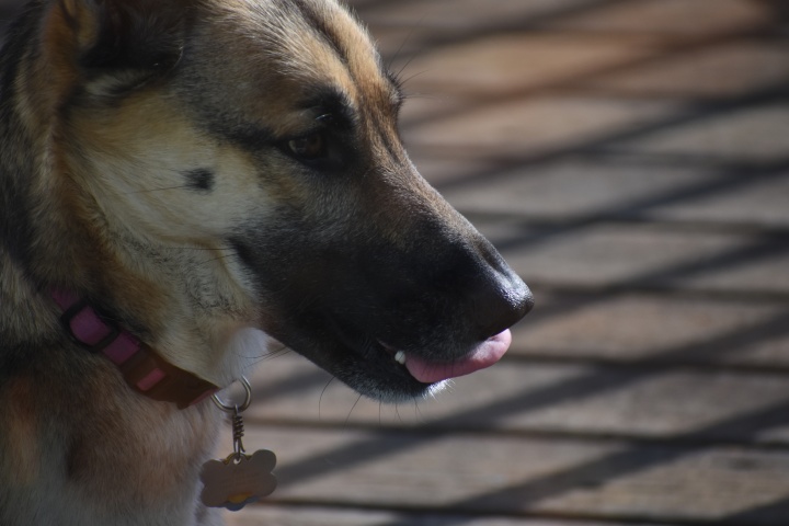 DSC_0755