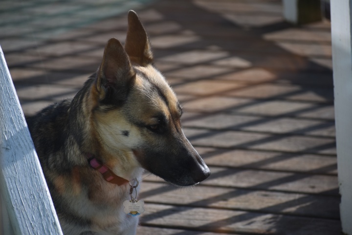 DSC_0756