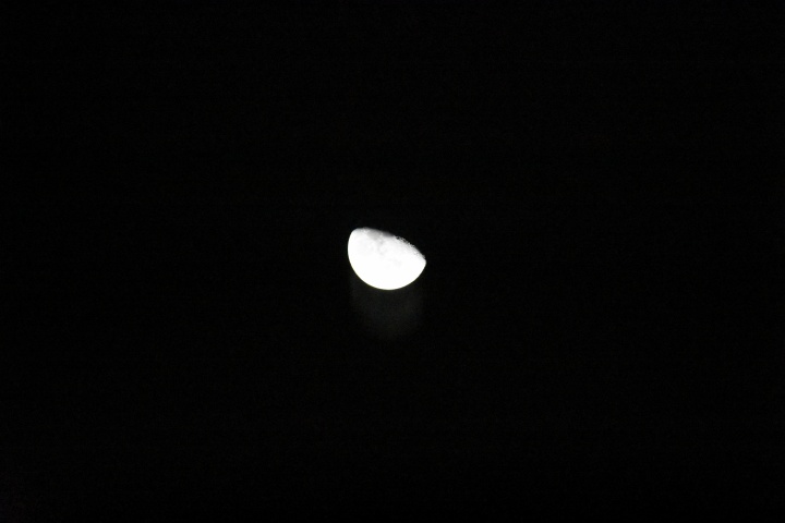DSC_0814