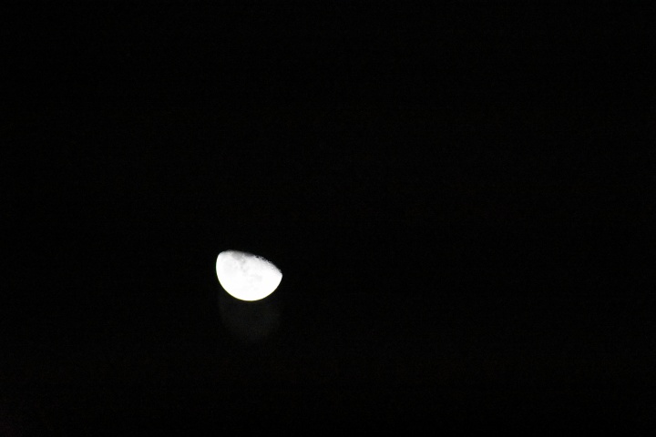 DSC_0815