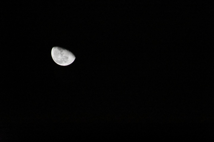 DSC_0816